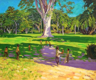 Partita di cricket, Giardini Botanici, Dominica, Grenadine, 2011 da Andrew Macara